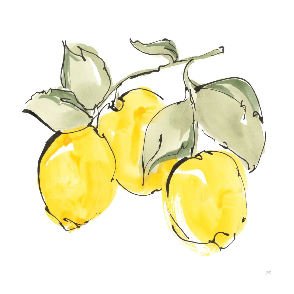 Lemons IV by Chris Paschke. SKU 66879a. Archival Giclee Fine art print for wall decor.