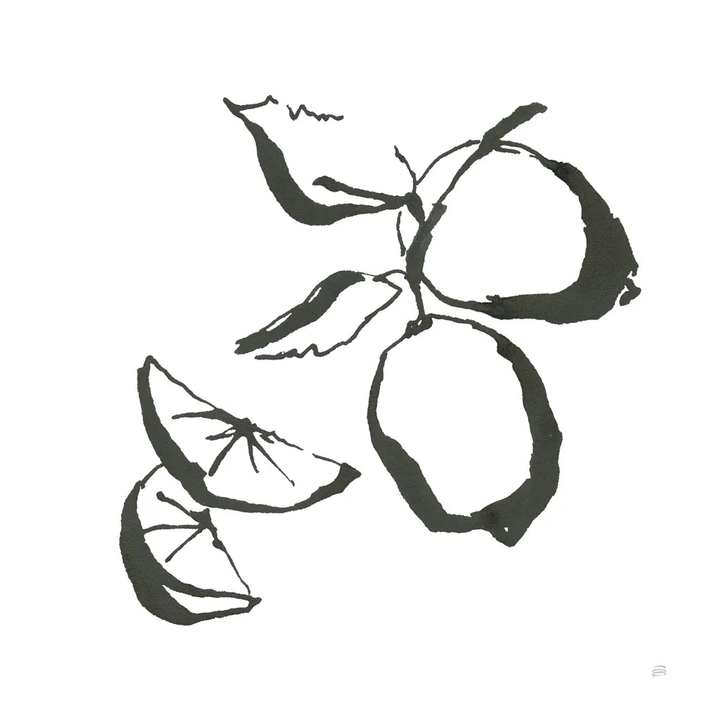 Limes BW by Chris Paschke. SKU 64217a. Archival Giclee Fine art print for wall decor.
