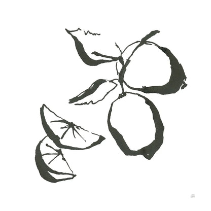 Limes BW by Chris Paschke. SKU 64217a. Archival Giclee Fine art print for wall decor.