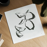 Limes BW by Chris Paschke. Shown as a detailed flat fine art print, highlighting archival giclee quality. Available as an archival giclee rolled canvas, fine art paper, or poster print. SKU 64217a.