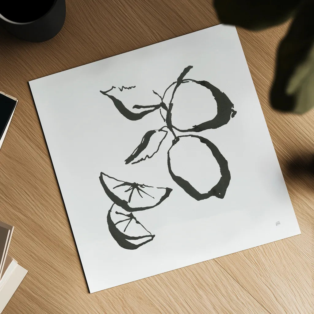 Limes BW by Chris Paschke. Shown as a detailed flat fine art print, highlighting archival giclee quality. Available as an archival giclee rolled canvas, fine art paper, or poster print. SKU 64217a.