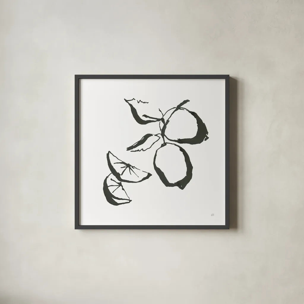 Limes BW by Chris Paschke. Shown in a sleek black glass frame for a contemporary gallery look. Available as an archival giclee rolled canvas, fine art paper, or poster print. SKU 64217a.