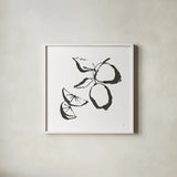 Limes BW by Chris Paschke. Shown in a crisp white glass frame for a clean and minimalist style. Available as an archival giclee rolled canvas, fine art paper, or poster print. SKU 64217a.