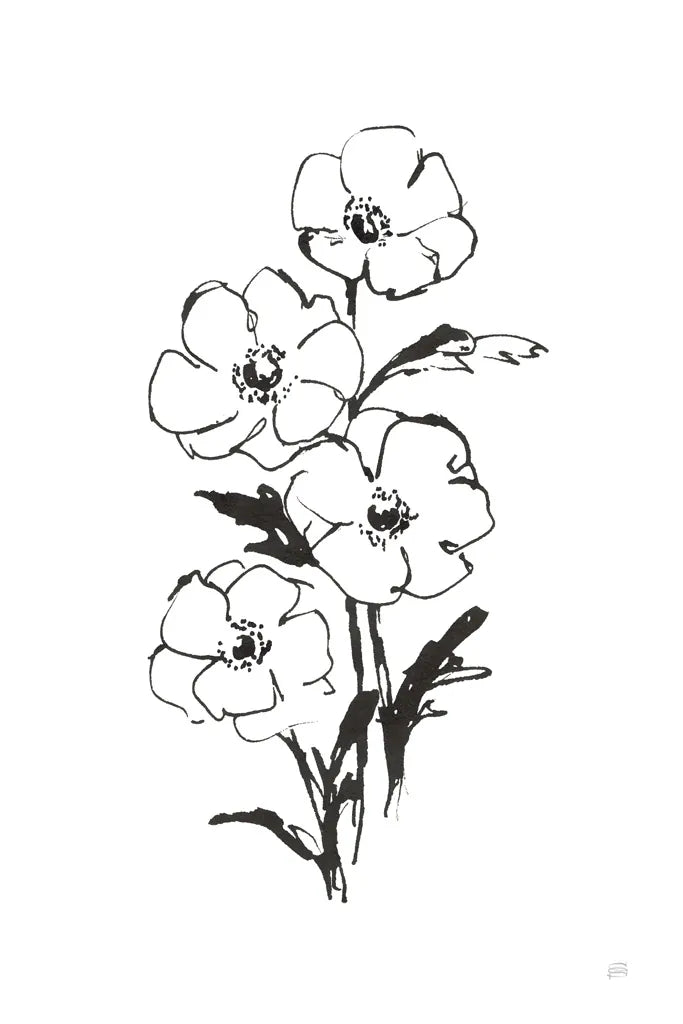 Line Anemone I by Chris Paschke. SKU 64182h. Archival Giclee Fine art print for wall decor.