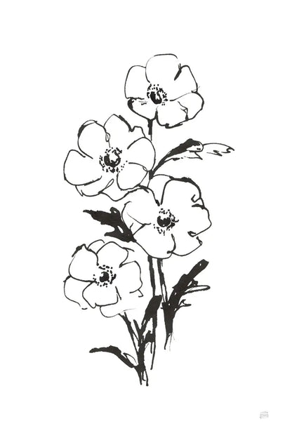 Line Anemone I by Chris Paschke. SKU 64182h. Archival Giclee Fine art print for wall decor.