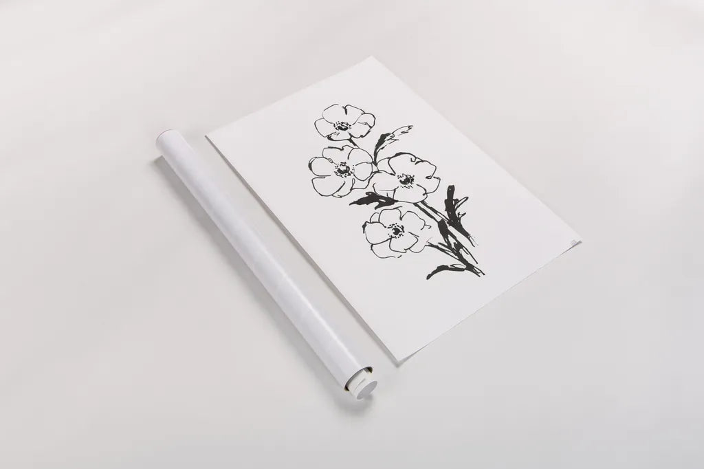 Line Anemone I by Chris Paschke. shown as a rolled paper print. Available as archival giclee rolled canvas, fine art paper, or poster print. SKU 64182h.