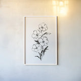 Line Anemone I by Chris Paschke. shown as a paper print in a white frame. Available as a archival giclee rolled canvas, fine art paper, or poster print. SKU 64182h.