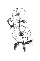 Line Anemone II by Chris Paschke. SKU 64183h. Archival Giclee Fine art print for wall decor.
