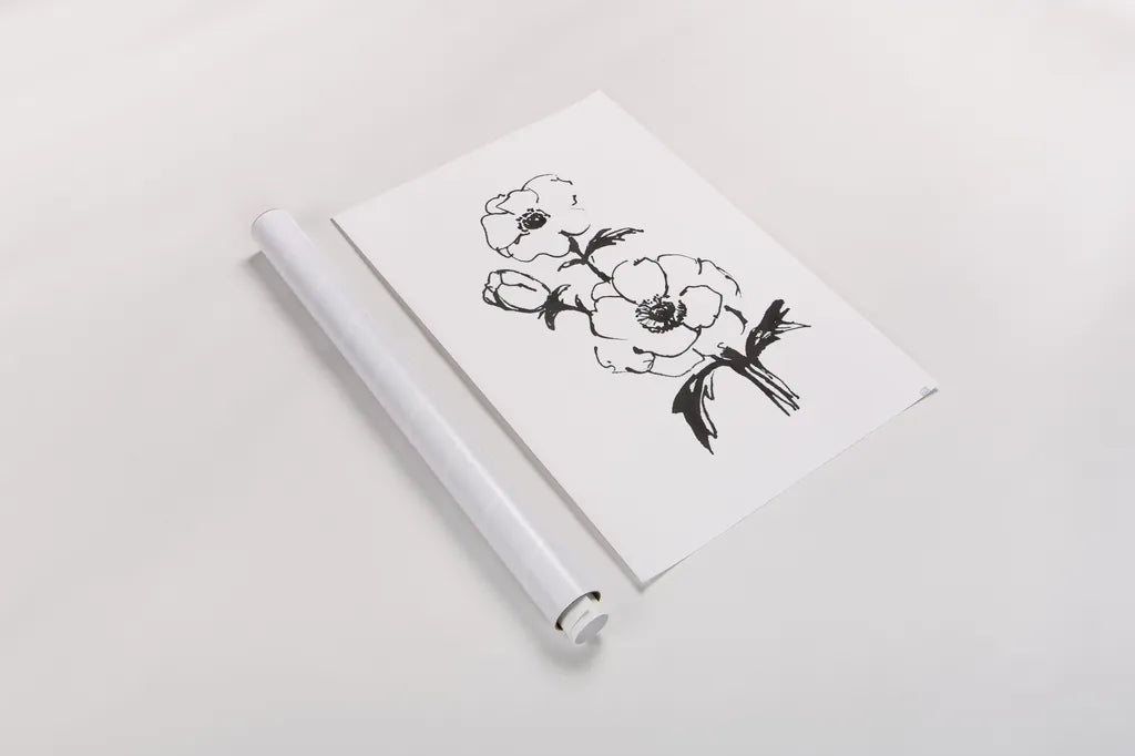 Line Anemone II by Chris Paschke. shown as a rolled paper print. Available as archival giclee rolled canvas, fine art paper, or poster print. SKU 64183h.