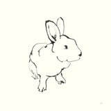 Line Bunny II by Chris Paschke. SKU 58333a. Archival Giclee Fine art print for wall decor.