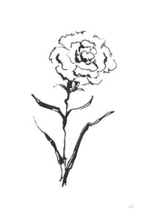 Line Carnation I by Chris Paschke. SKU 64186h. Archival Giclee Fine art print for wall decor.