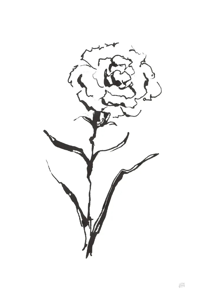 Line Carnation I by Chris Paschke. SKU 64186h. Archival Giclee Fine art print for wall decor.