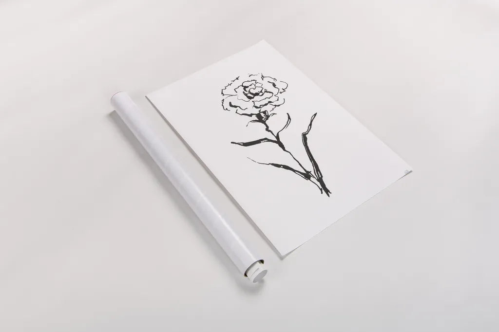 Line Carnation I by Chris Paschke. shown as a rolled paper print. Available as archival giclee rolled canvas, fine art paper, or poster print. SKU 64186h.