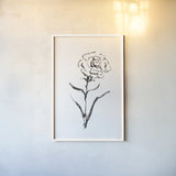 Line Carnation I by Chris Paschke. shown as a paper print in a white frame. Available as a archival giclee rolled canvas, fine art paper, or poster print. SKU 64186h.