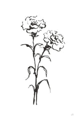 Line Carnation II by Chris Paschke. SKU 64187h. Archival Giclee Fine art print for wall decor.