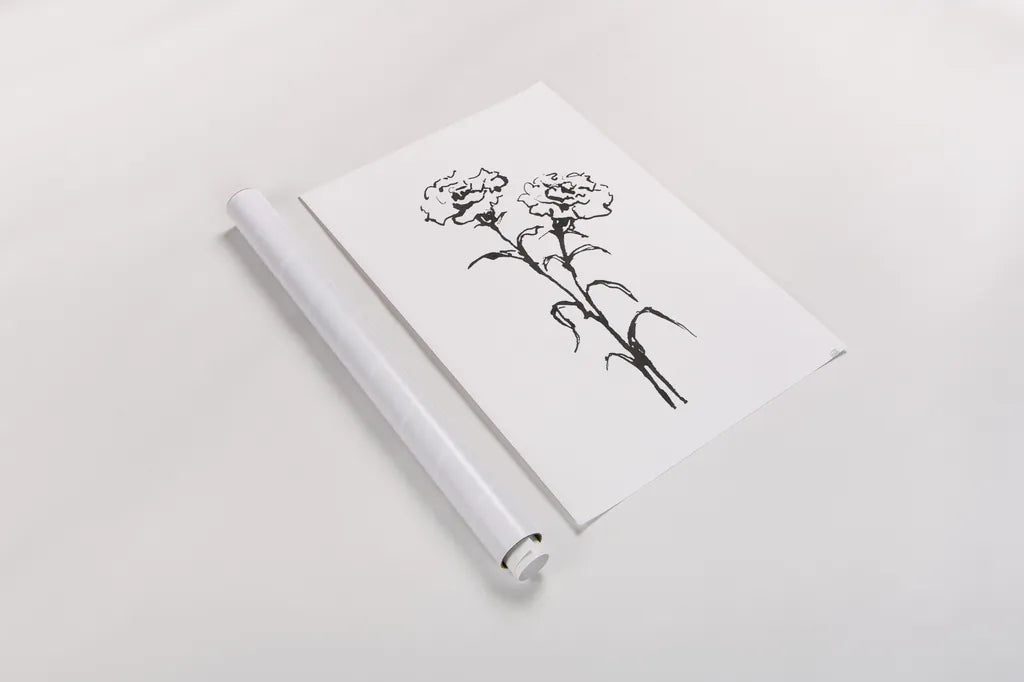 Line Carnation II by Chris Paschke. shown as a rolled paper print. Available as archival giclee rolled canvas, fine art paper, or poster print. SKU 64187h.