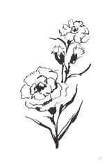 Line Carnation III by Chris Paschke. SKU 64188h. Archival Giclee Fine art print for wall decor.