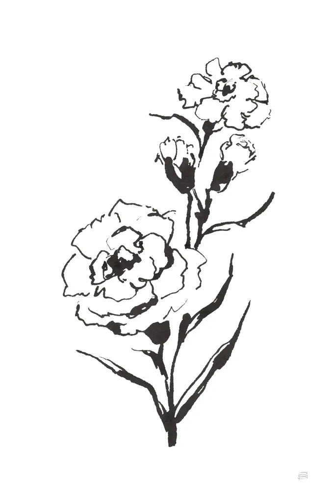 Line Carnation III by Chris Paschke. SKU 64188h. Archival Giclee Fine art print for wall decor.