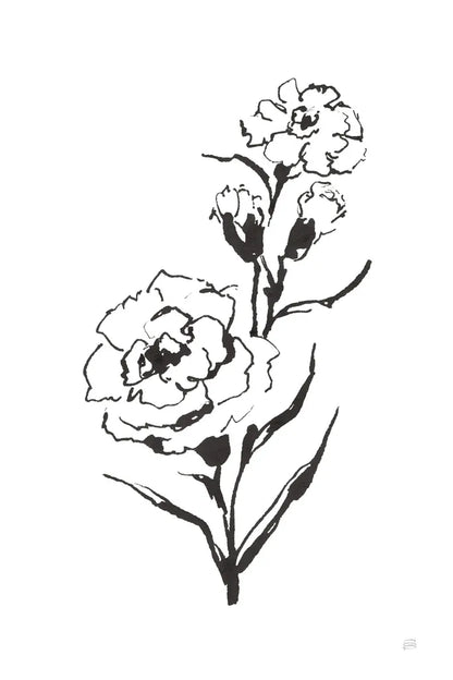 Line Carnation III by Chris Paschke. SKU 64188h. Archival Giclee Fine art print for wall decor.