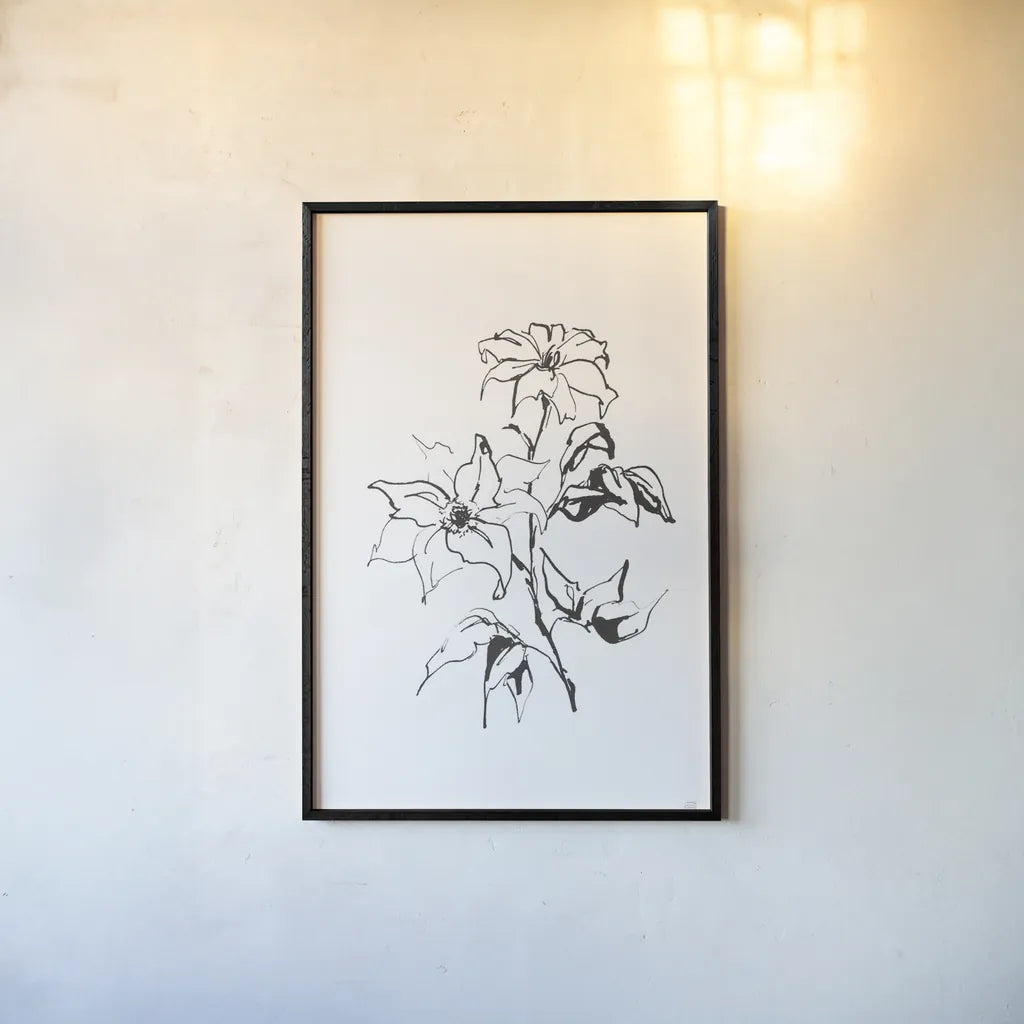 Line Clematis by Chris Paschke. shown as a paper print in a black flame. Available as a archival giclee rolled canvas, fine art paper, or poster print. SKU 64192h.