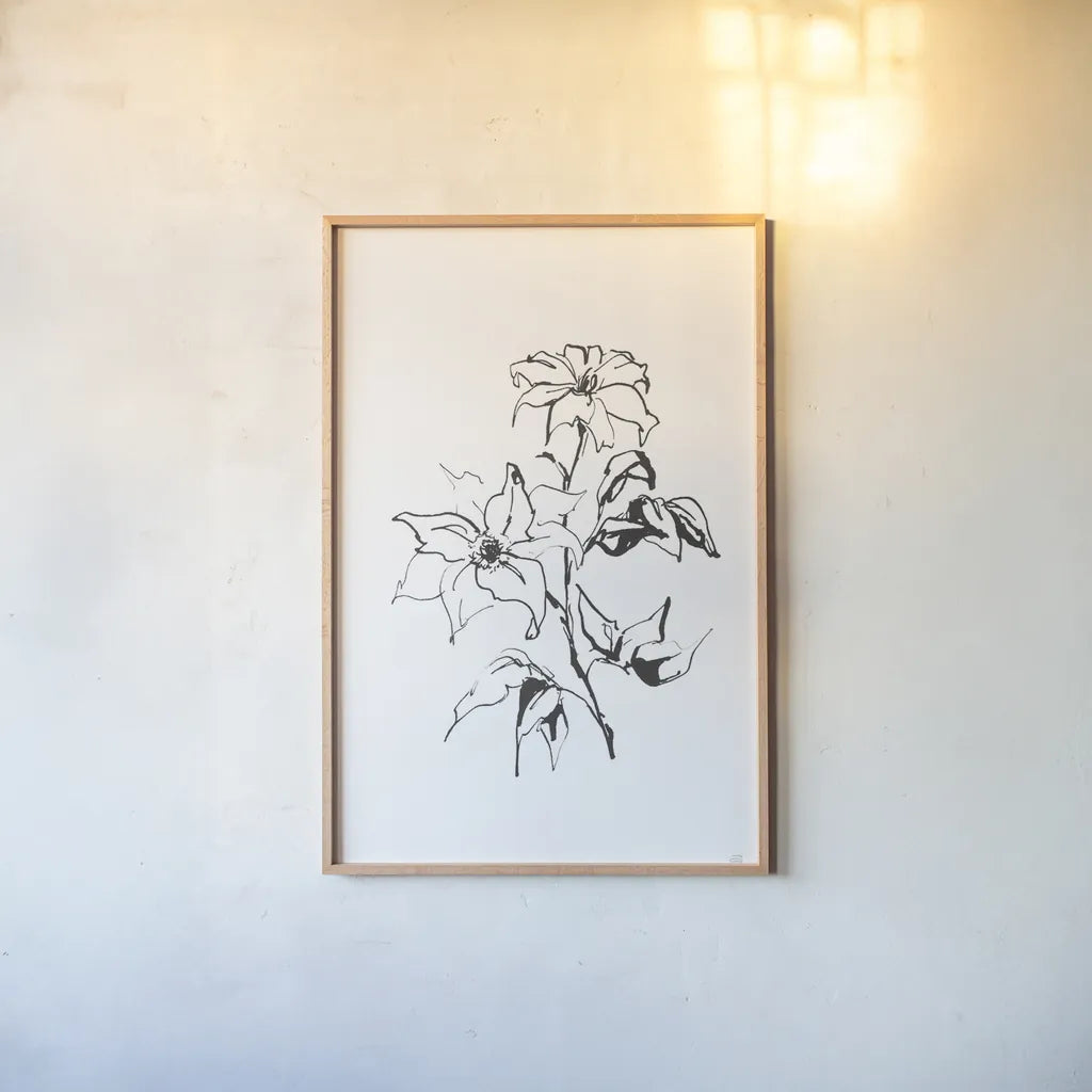 Line Clematis by Chris Paschke. shown as a paper print in a natural frame. Available as a archival giclee rolled canvas, fine art paper, or poster print. SKU 64192h.