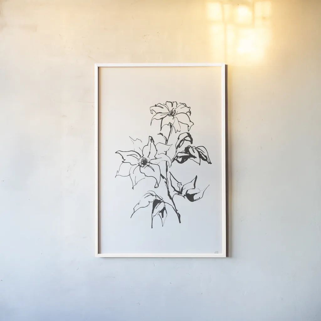 Line Clematis by Chris Paschke. shown as a paper print in a white frame. Available as a archival giclee rolled canvas, fine art paper, or poster print. SKU 64192h.