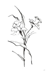 Line Daffodil by Chris Paschke. SKU 64195h. Archival Giclee Fine art print for wall decor.