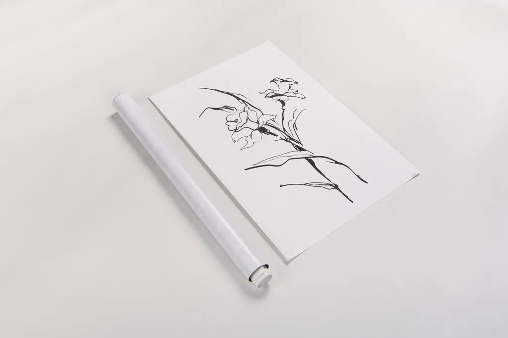 Line Daffodil by Chris Paschke. shown as a rolled paper print. Available as archival giclee rolled canvas, fine art paper, or poster print. SKU 64195h.