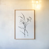 Line Daffodil by Chris Paschke. shown as a paper print in a natural frame. Available as a archival giclee rolled canvas, fine art paper, or poster print. SKU 64195h.