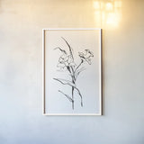 Line Daffodil by Chris Paschke. shown as a paper print in a white frame. Available as a archival giclee rolled canvas, fine art paper, or poster print. SKU 64195h.