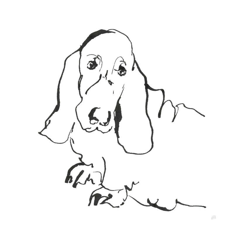 Line Dog Basset Hound by Chris Paschke. SKU 63545a. Archival Giclee Fine art print for wall decor.