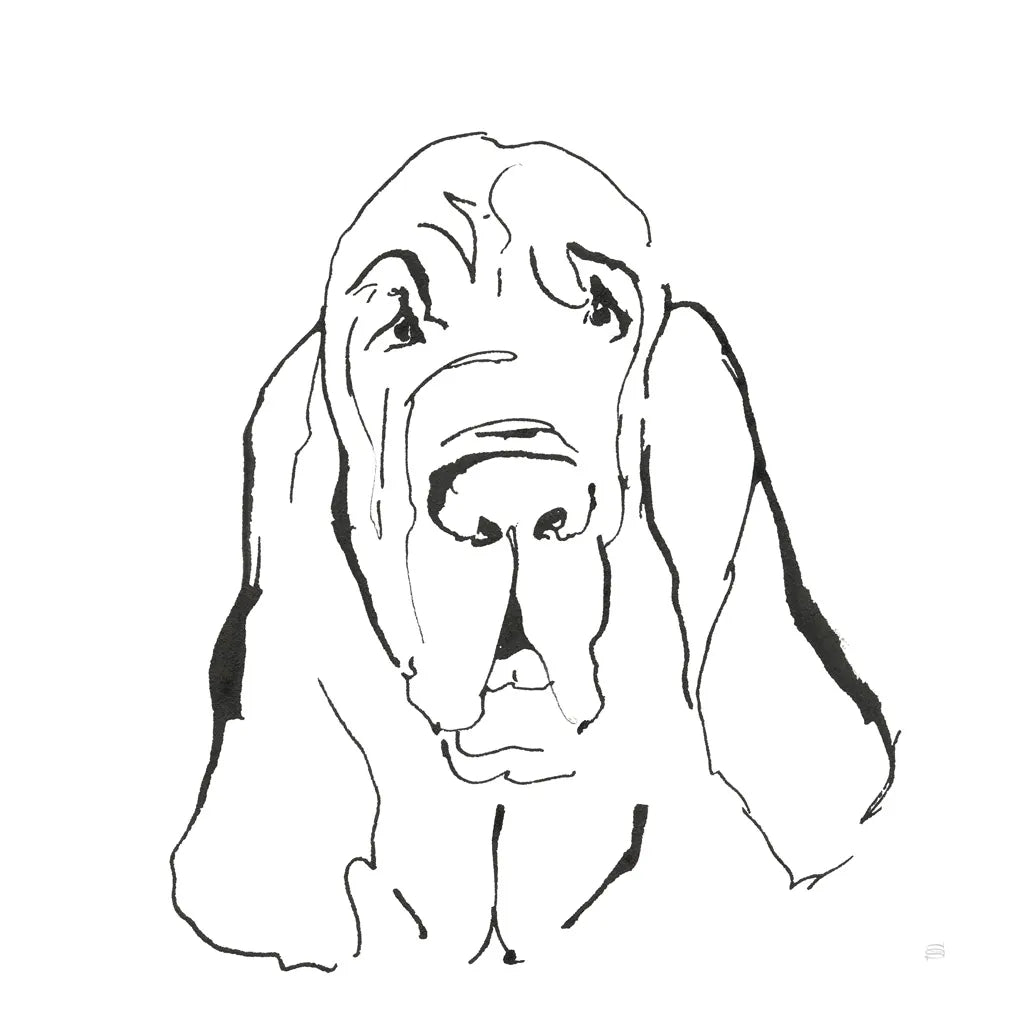 Line Dog Bloodhound I by Chris Paschke. SKU 63546a. Archival Giclee Fine art print for wall decor.