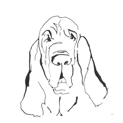 Line Dog Bloodhound I by Chris Paschke. SKU 63546a. Archival Giclee Fine art print for wall decor.