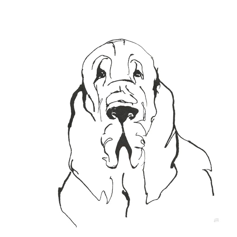 Line Dog Bloodhound II by Chris Paschke. SKU 63547a. Archival Giclee Fine art print for wall decor.