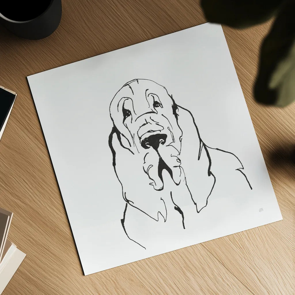 Line Dog Bloodhound II by Chris Paschke. Shown as a detailed flat fine art print, highlighting archival giclee quality. Available as an archival giclee rolled canvas, fine art paper, or poster print. SKU 63547a.