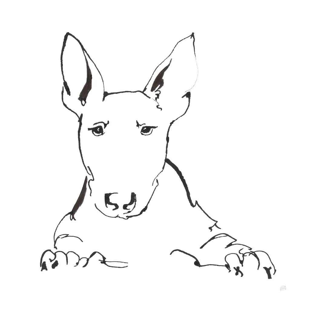 Line Dog Bull Terrier by Chris Paschke. SKU 63548a. Archival Giclee Fine art print for wall decor.