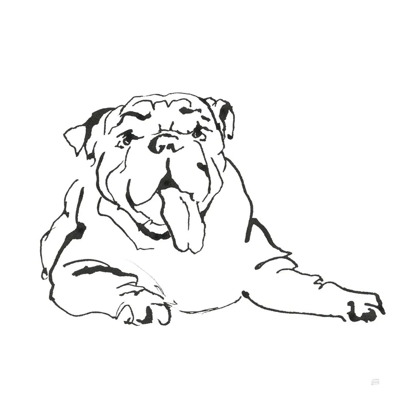 Line Dog Bulldog I by Chris Paschke. SKU 63549a. Archival Giclee Fine art print for wall decor.