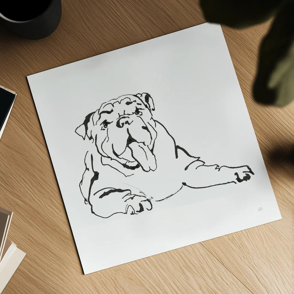 Line Dog Bulldog I by Chris Paschke. Shown as a detailed flat fine art print, highlighting archival giclee quality. Available as an archival giclee rolled canvas, fine art paper, or poster print. SKU 63549a.