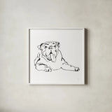 Line Dog Bulldog I by Chris Paschke. Shown in a crisp white glass frame for a clean and minimalist style. Available as an archival giclee rolled canvas, fine art paper, or poster print. SKU 63549a.