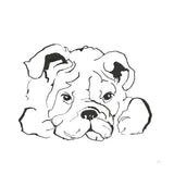Line Dog Bulldog II by Chris Paschke. SKU 63550a. Archival Giclee Fine art print for wall decor.