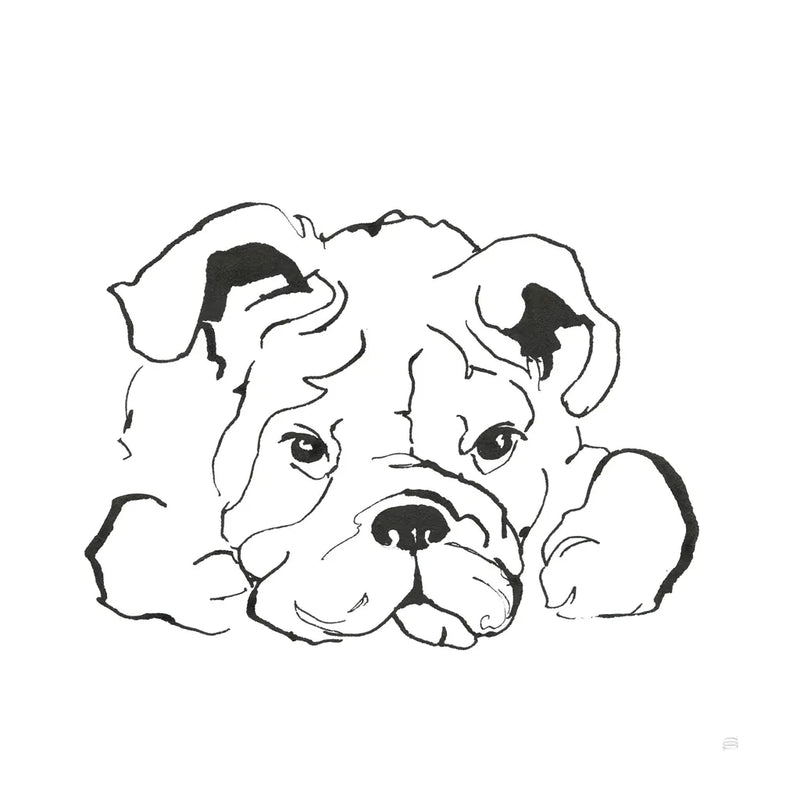 Line Dog Bulldog II by Chris Paschke. SKU 63550a. Archival Giclee Fine art print for wall decor.