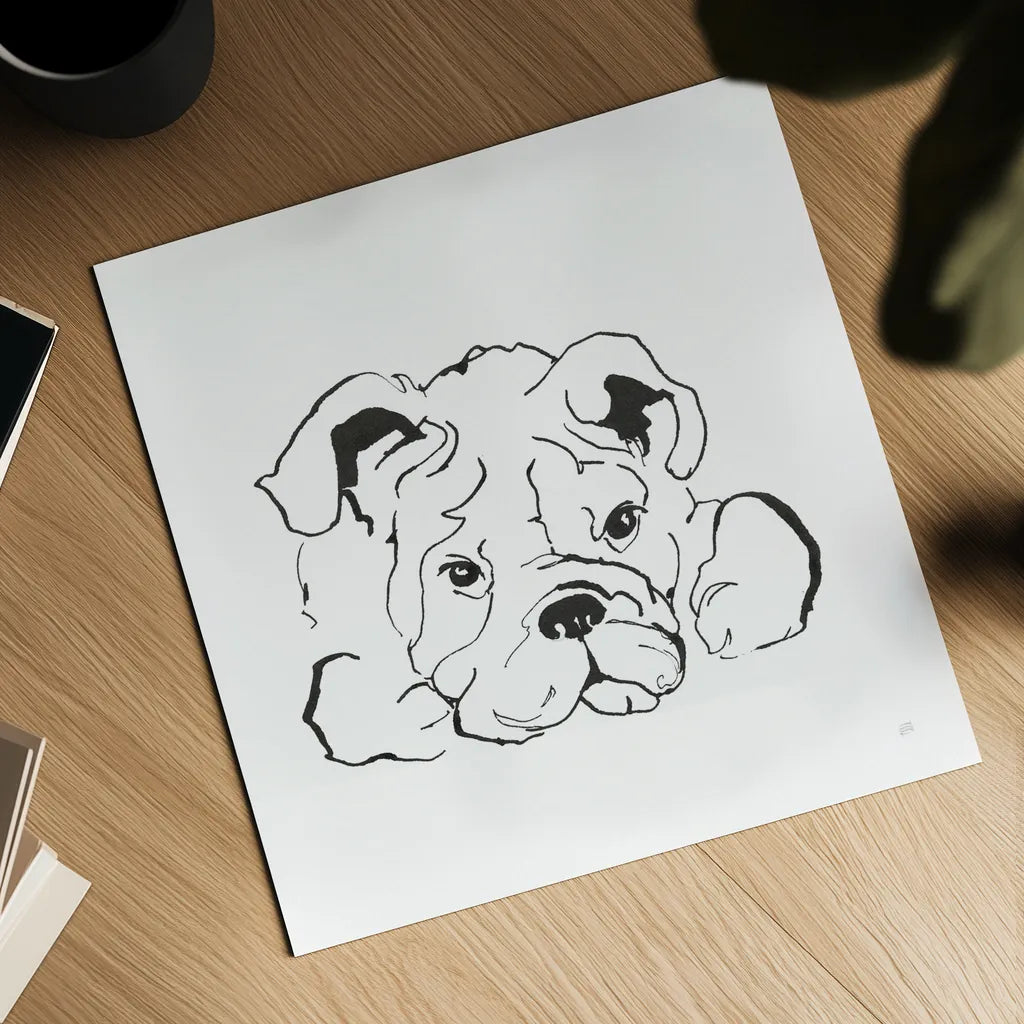 Line Dog Bulldog II by Chris Paschke. Shown as a detailed flat fine art print, highlighting archival giclee quality. Available as an archival giclee rolled canvas, fine art paper, or poster print. SKU 63550a.
