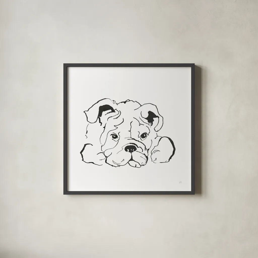 Line Dog Bulldog II by Chris Paschke. Shown in a sleek black glass frame for a contemporary gallery look. Available as an archival giclee rolled canvas, fine art paper, or poster print. SKU 63550a.