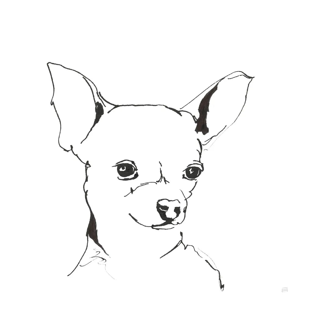 Line Dog Chihuahua by Chris Paschke. SKU 63551a. Archival Giclee Fine art print for wall decor.