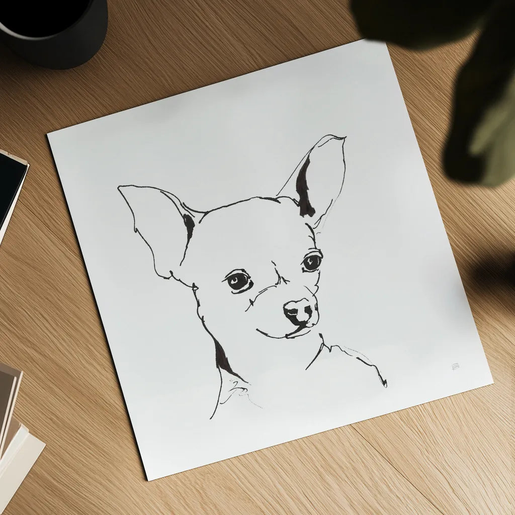 Line Dog Chihuahua by Chris Paschke. Shown as a detailed flat fine art print, highlighting archival giclee quality. Available as an archival giclee rolled canvas, fine art paper, or poster print. SKU 63551a.