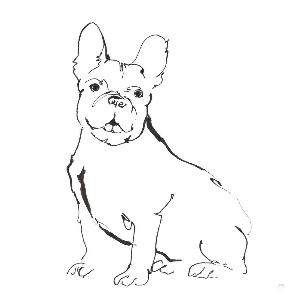Line Dog French Bulldog II by Chris Paschke. SKU 63552a. Archival Giclee Fine art print for wall decor.