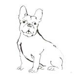 Line Dog French Bulldog II by Chris Paschke. SKU 63552a. Archival Giclee Fine art print for wall decor.