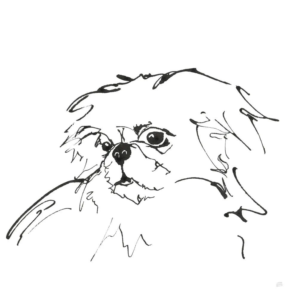 Line Dog Pekingese by Chris Paschke. SKU 63553a. Archival Giclee Fine art print for wall decor.