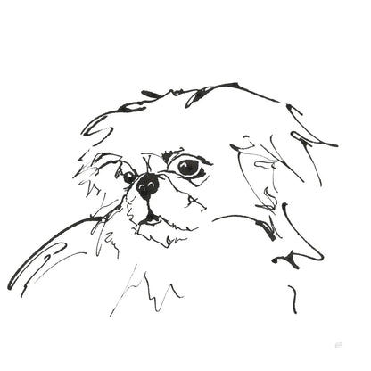 Line Dog Pekingese by Chris Paschke. SKU 63553a. Archival Giclee Fine art print for wall decor.