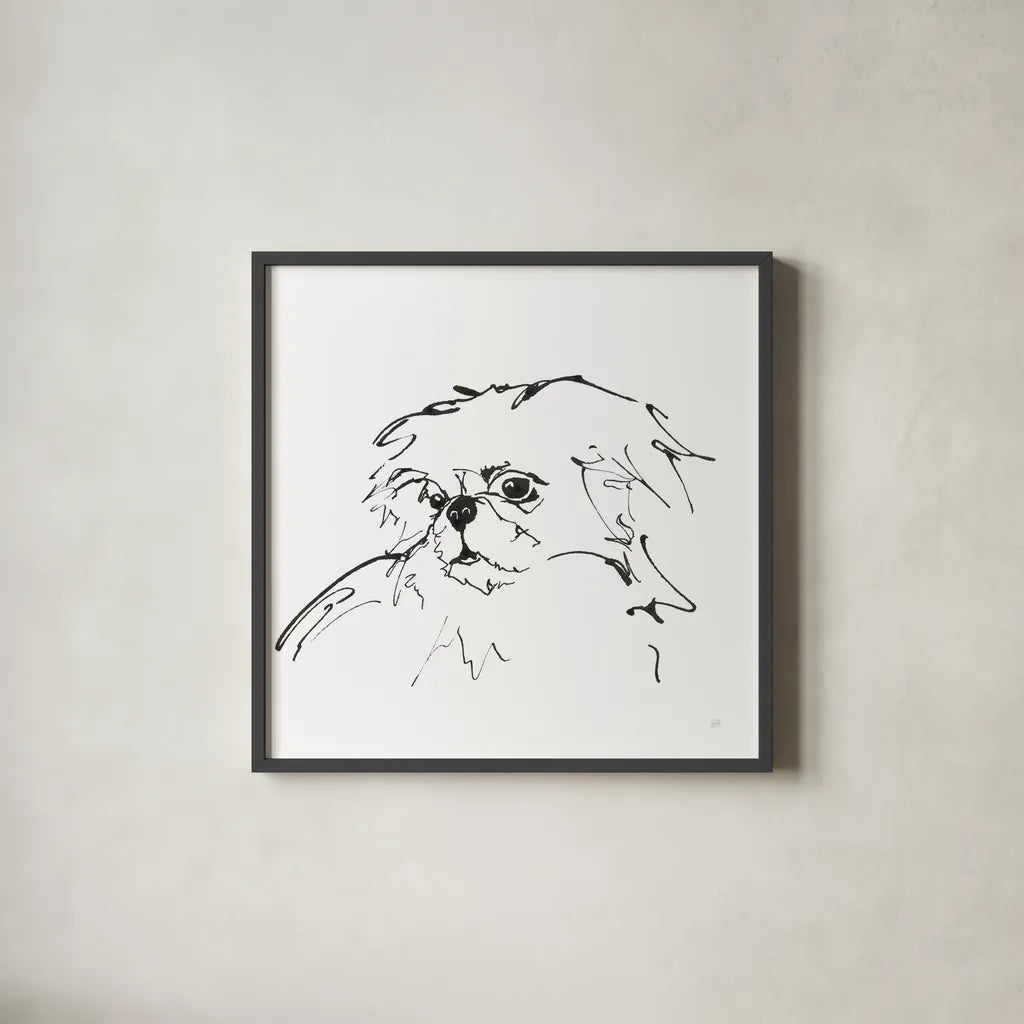 Line Dog Pekingese by Chris Paschke. Shown in a sleek black glass frame for a contemporary gallery look. Available as an archival giclee rolled canvas, fine art paper, or poster print. SKU 63553a.